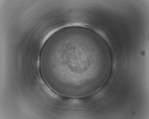 X0000112101420200908111407