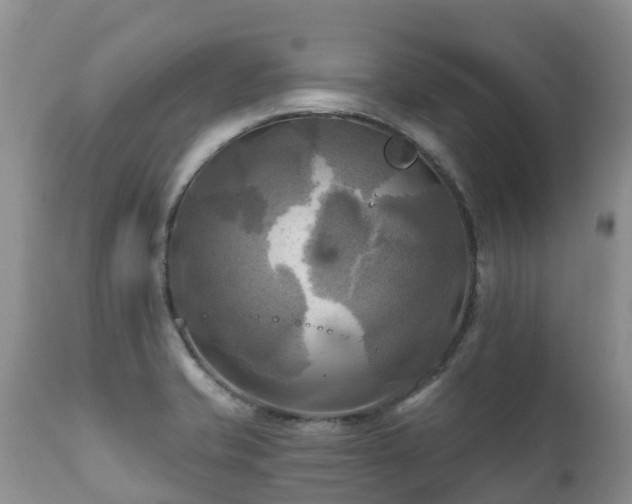 X0000112101421200908111407