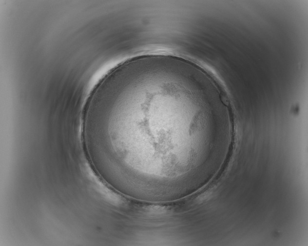 X0000112101424200908111407