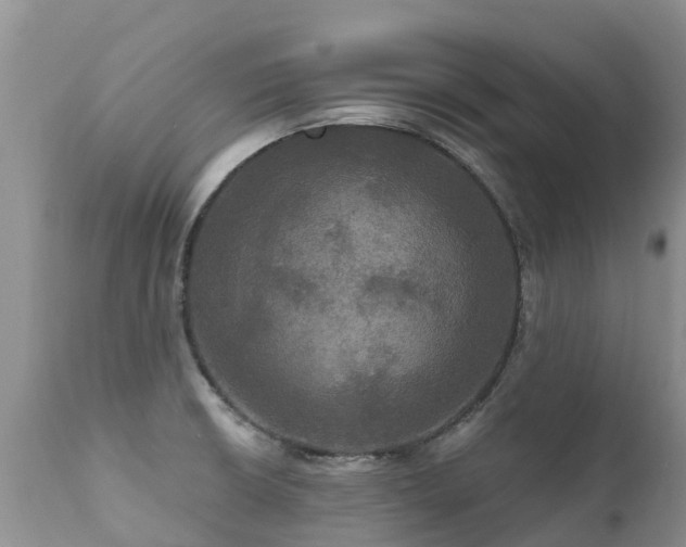 X0000112101426200908111407