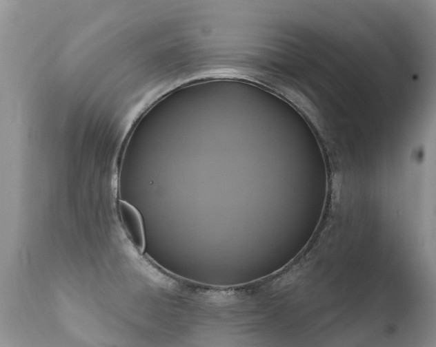 X0000112101428200908111407