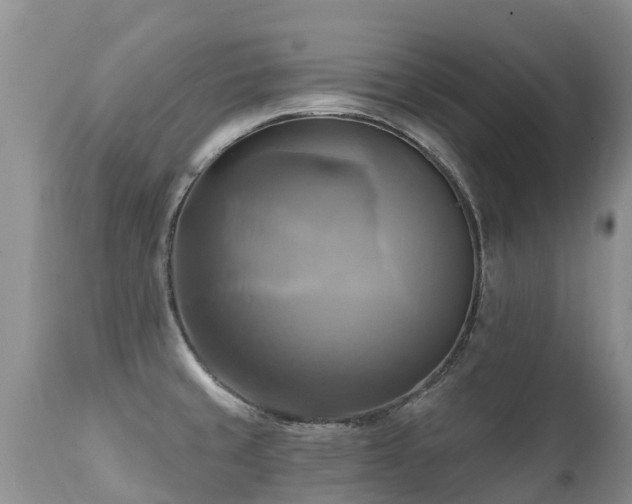 X0000112101429200908111407