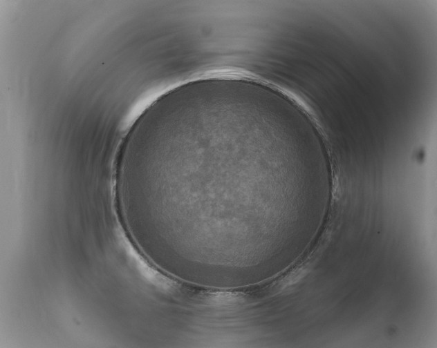 X0000112101430200908111407