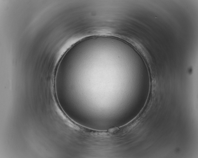 X0000112101432200908111407