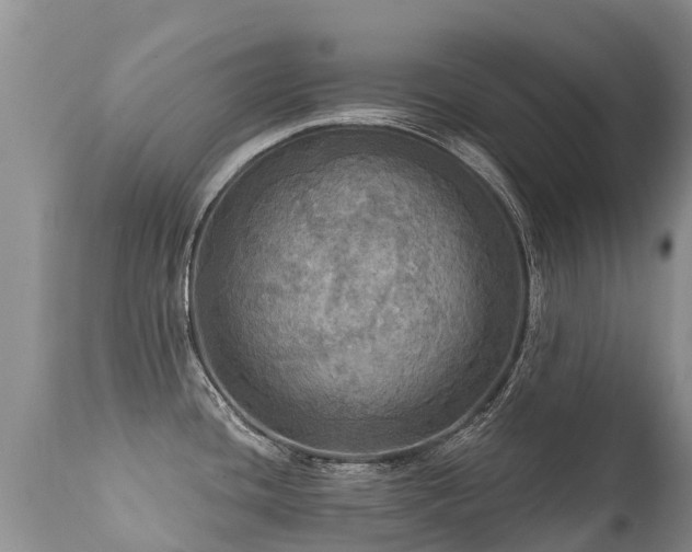 X0000112101436200908111407