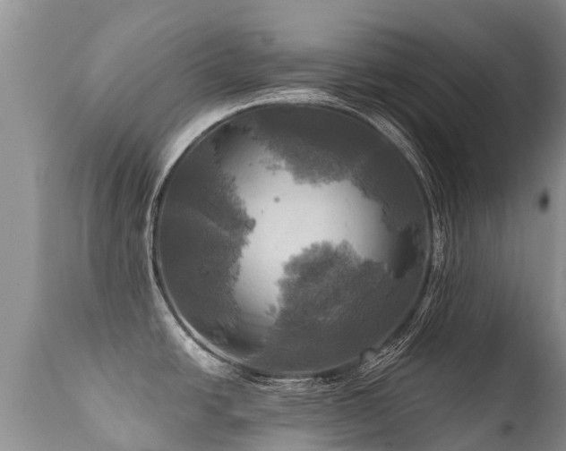 X0000112101438200908111407