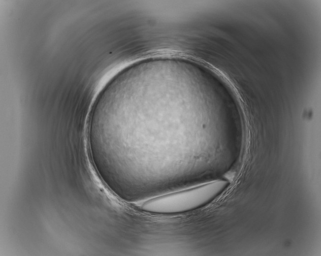 X0000112101440200908111407