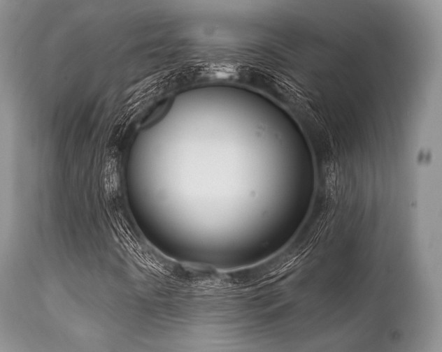 X0000112101442200908111406