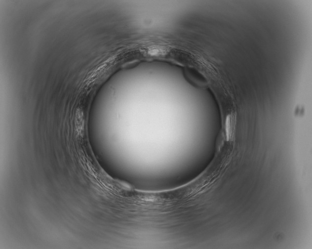 X0000112101443200908111406