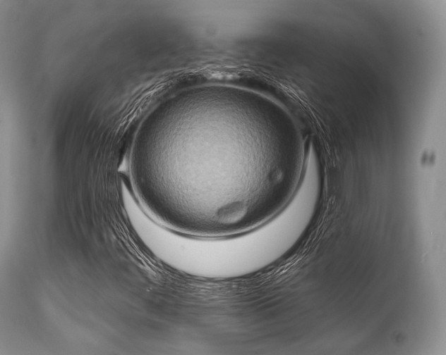 X0000112101444200908111406