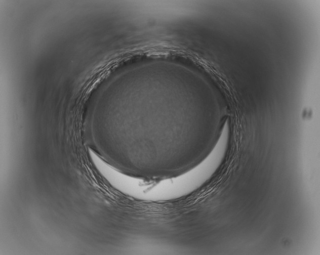 X0000112101445200908111406