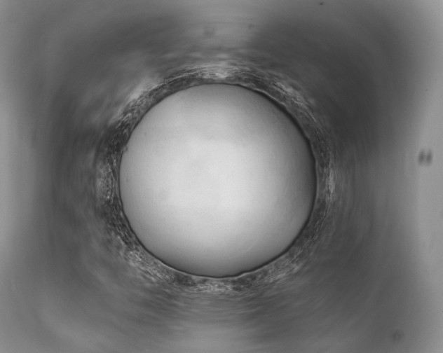 X0000112101446200908111406