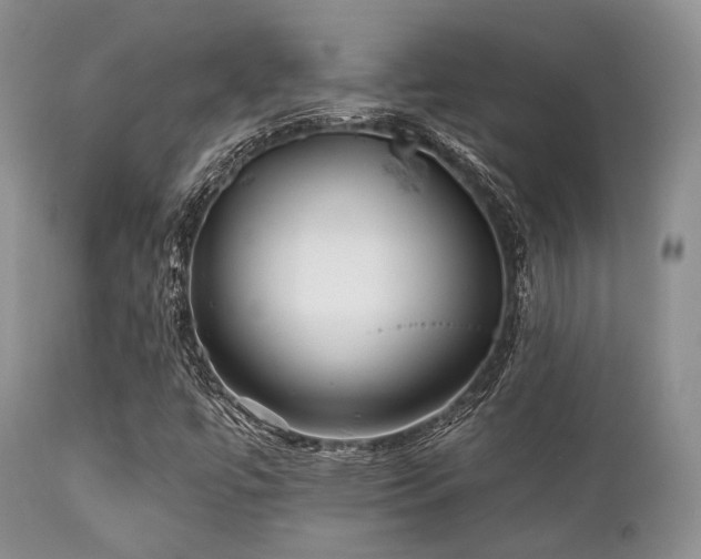 X0000112101447200908111406