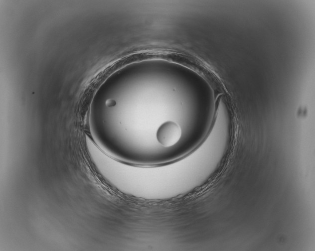 X0000112101448200908111406