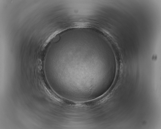 X0000112101449200908111406