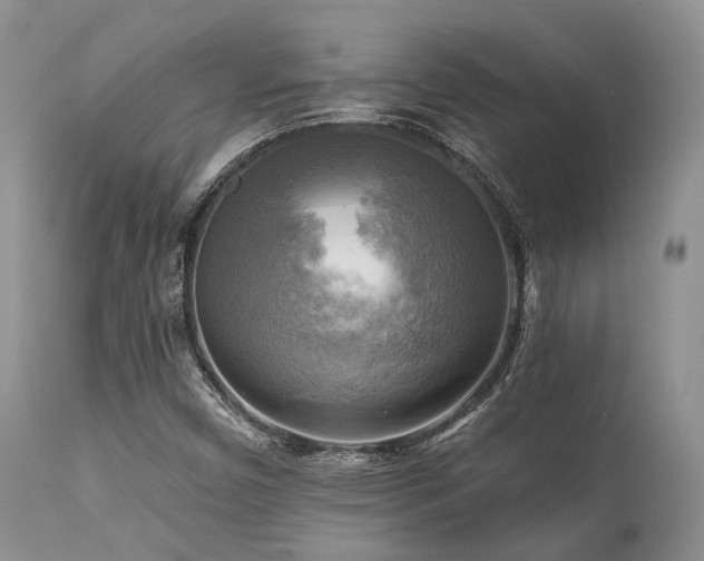 X0000112101450200908111406