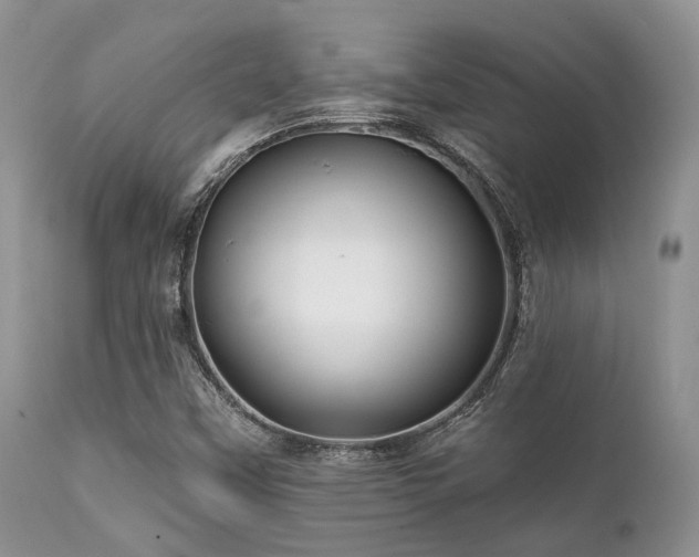 X0000112101451200908111406