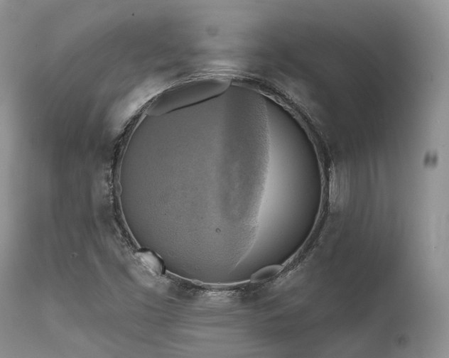 X0000112101453200908111406