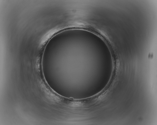 X0000112101455200908111406