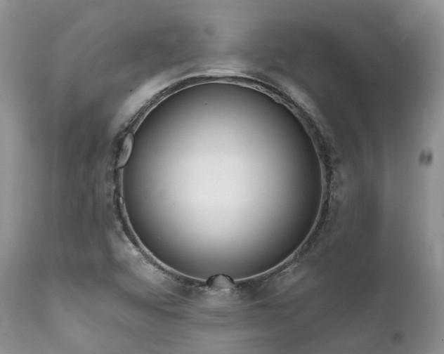 X0000112101456200908111406