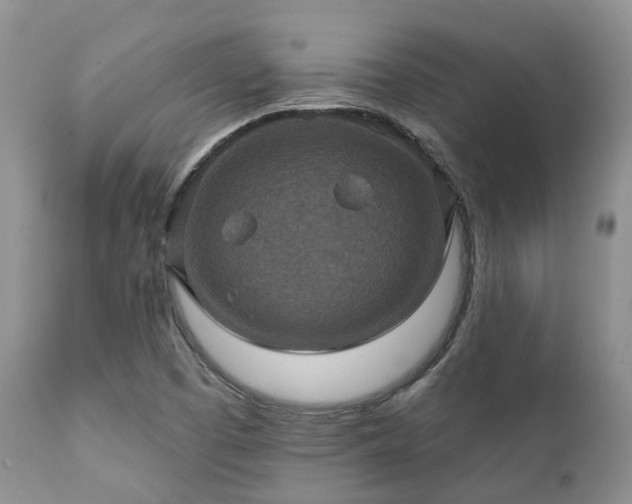 X0000112101457200908111406