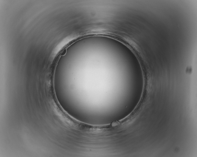 X0000112101458200908111406