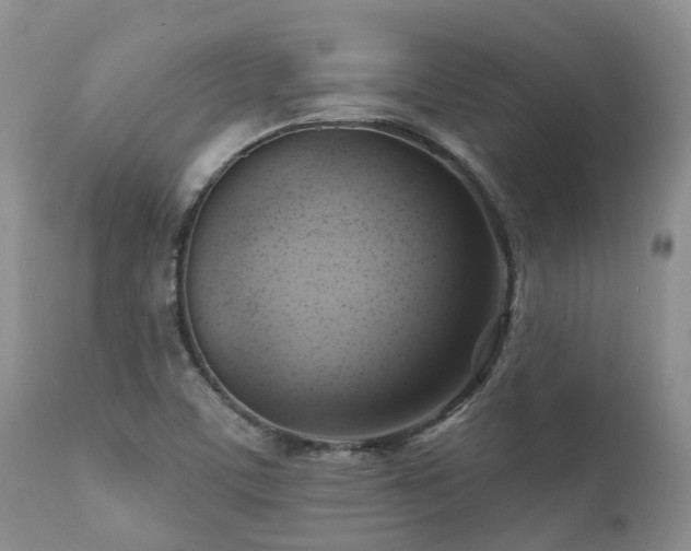 X0000112101459200908111406