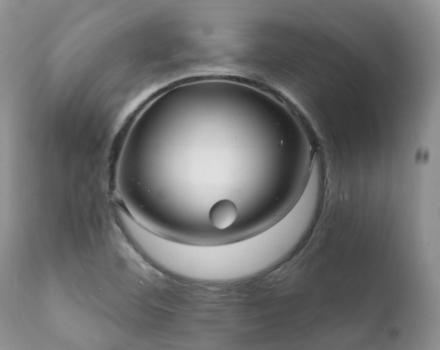 X0000112101460200908111406