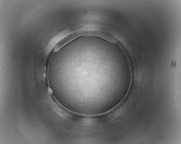 X0000112101461200908111406