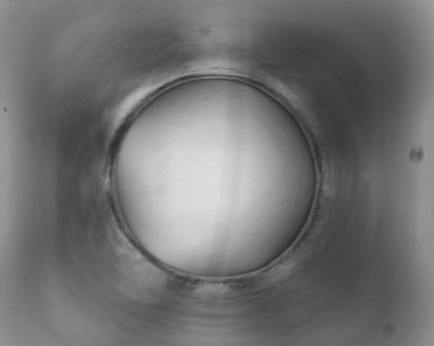 X0000112101462200908111406