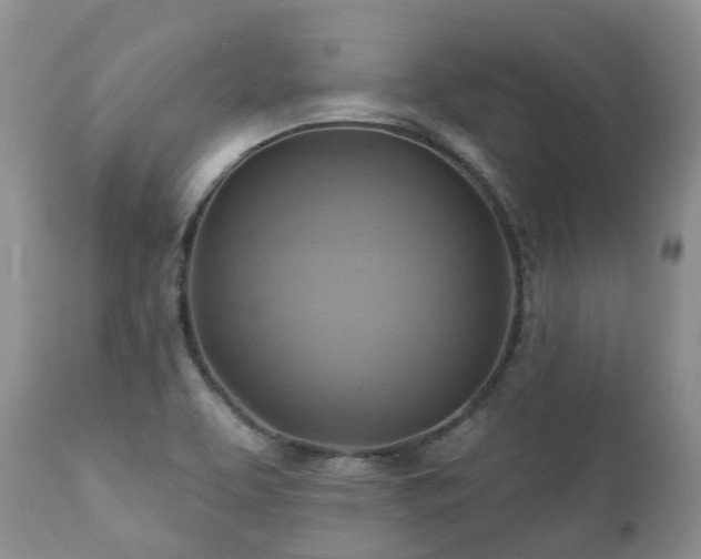 X0000112101463200908111406