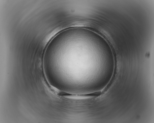 X0000112101465200908111406