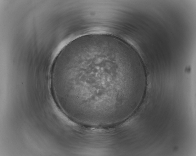 X0000112101467200908111406