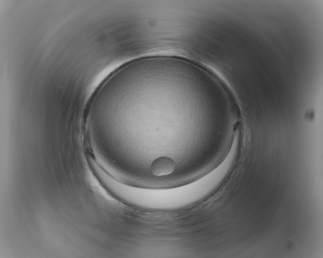 X0000112101468200908111406