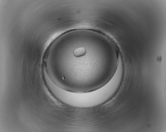 X0000112101469200908111406