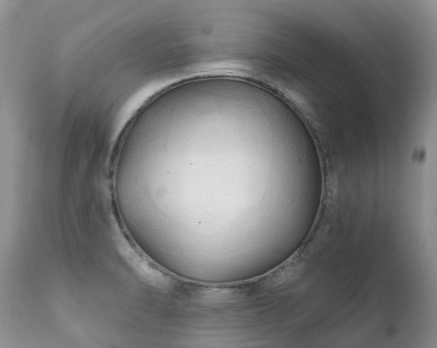 X0000112101470200908111406