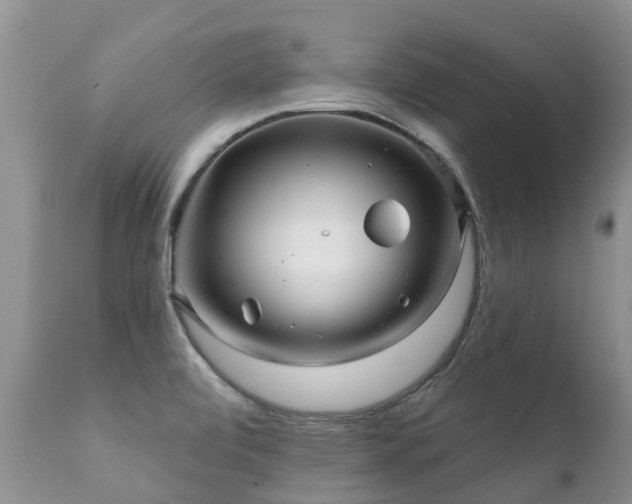 X0000112101472200908111406