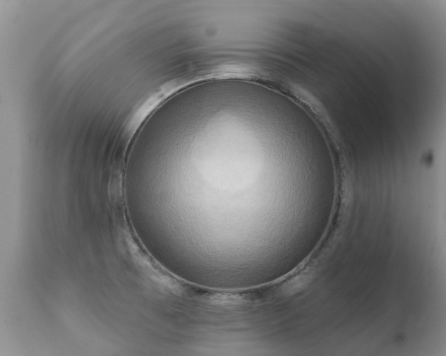 X0000112101473200908111406
