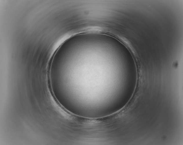 X0000112101475200908111406