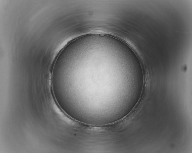 X0000112101476200908111406
