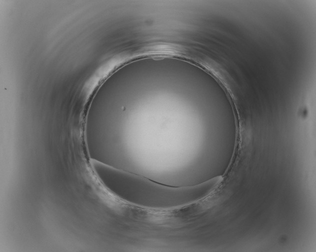 X0000112101477200908111406