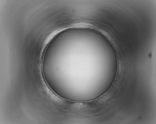 X0000112101478200908111406