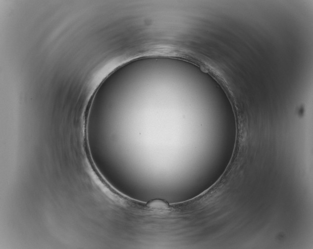 X0000112101479200908111406