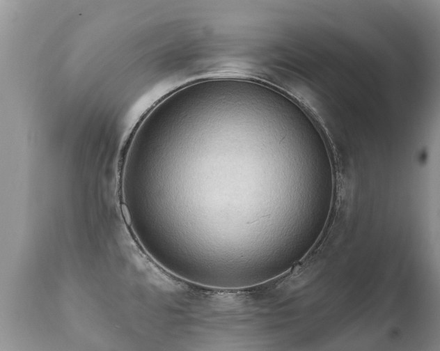 X0000112101480200908111406