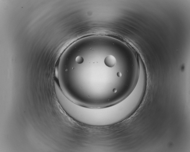 X0000112101481200908111406