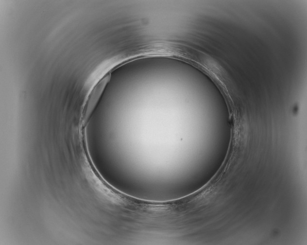 X0000112101484200908111406