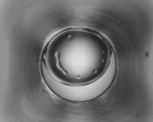 X0000112101485200908111406