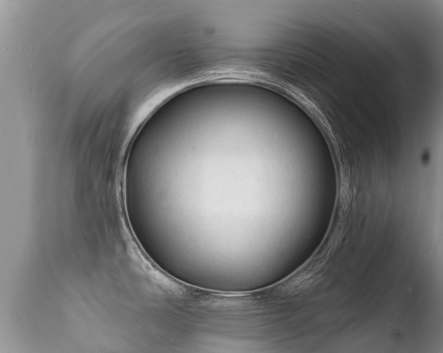 X0000112101486200908111406