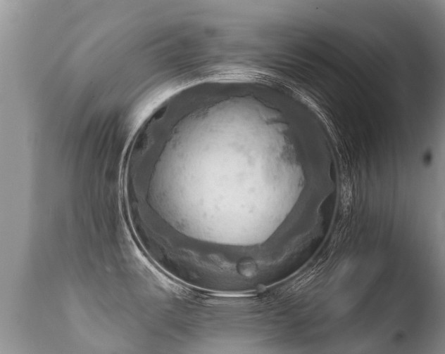 X0000112101487200908111406