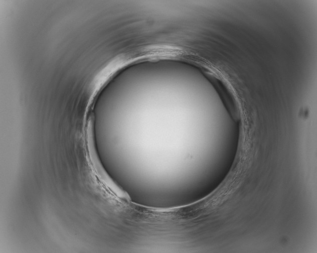 X0000112101488200908111406